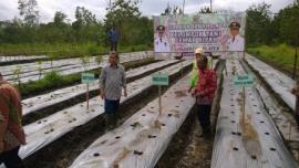 Mengukir Asa Pertanian Bersama Wakil Bupati Gunungkidul