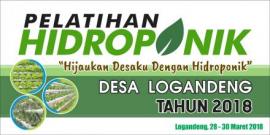 Hijaukan Desaku Dengan Hidroponik